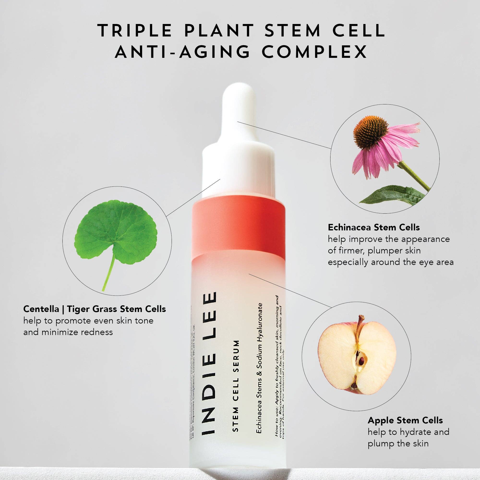 Indie Lee - Stem Cell Serum