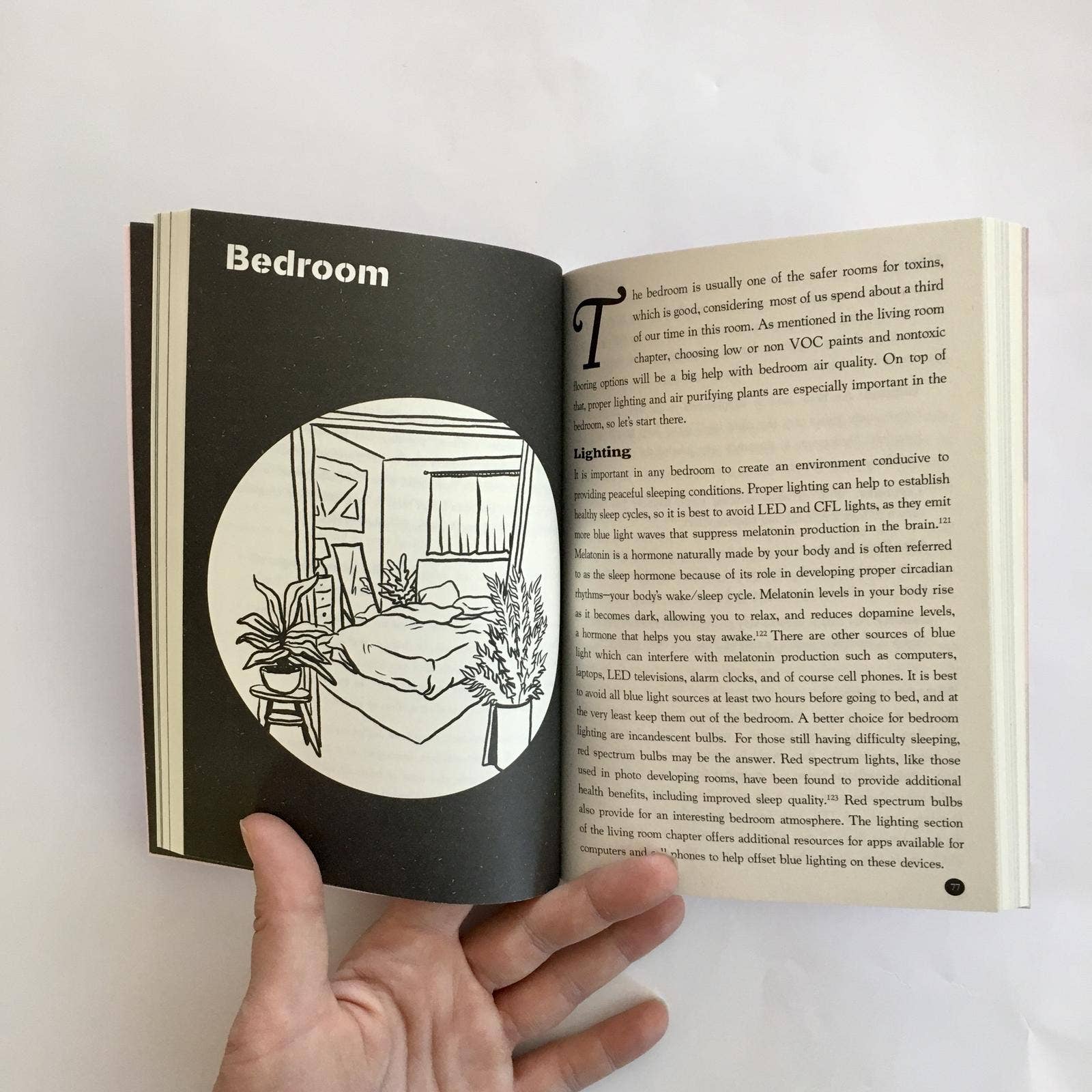 Microcosm Publishing & Distribution - Detox Your Place: Room by Room Remedies for Nontoxic Living