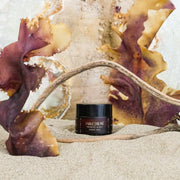 FABLERUNE - Face Mask - Probiotic & Kelp Marine (mini 0.5 oz)