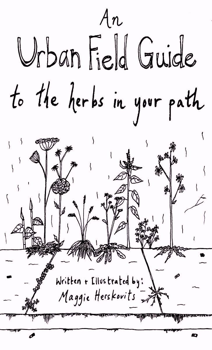 Microcosm Publishing & Distribution - Urban Field Guide to the Herbs in Your Path (Zine)