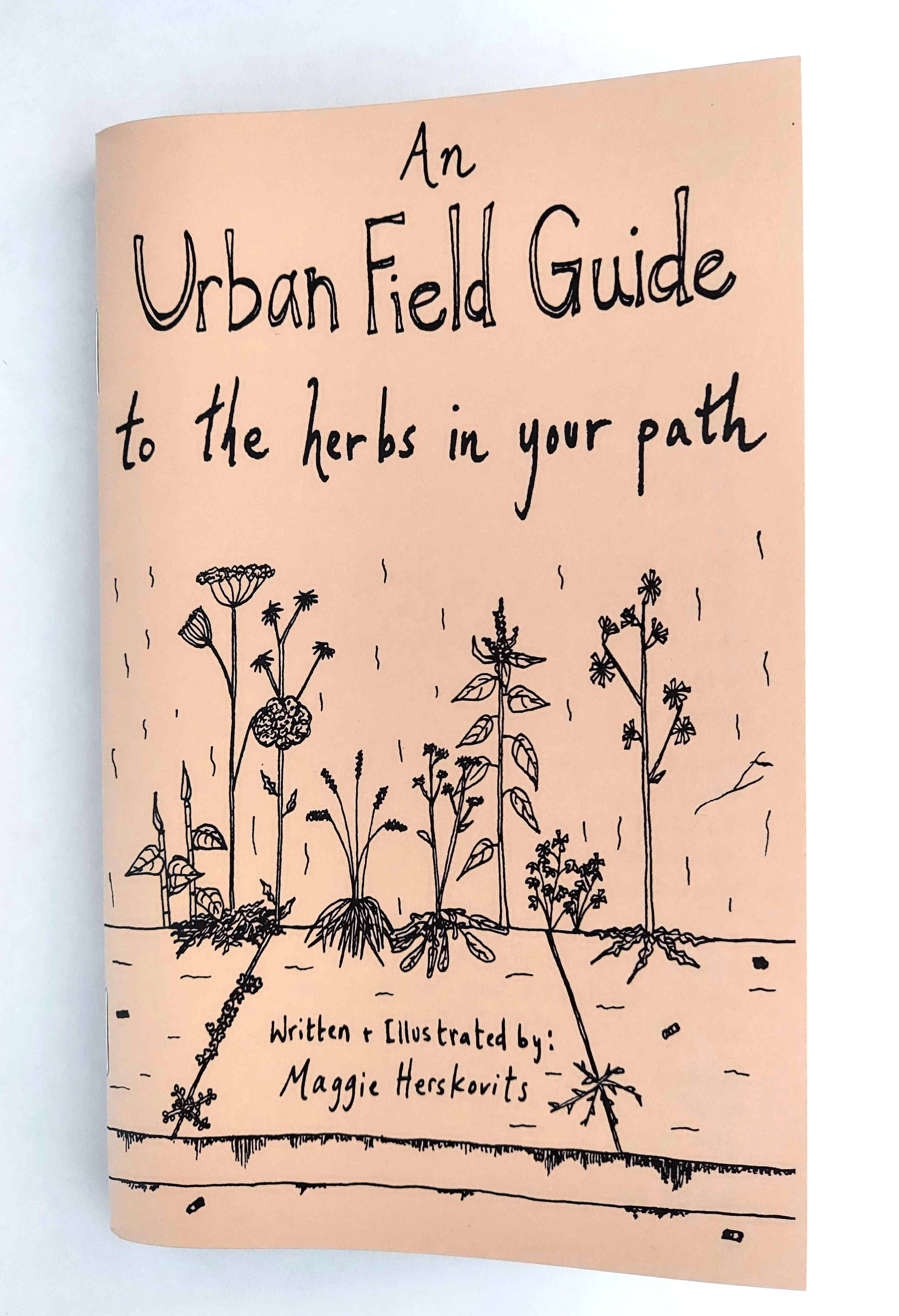 Microcosm Publishing & Distribution - Urban Field Guide to the Herbs in Your Path (Zine)