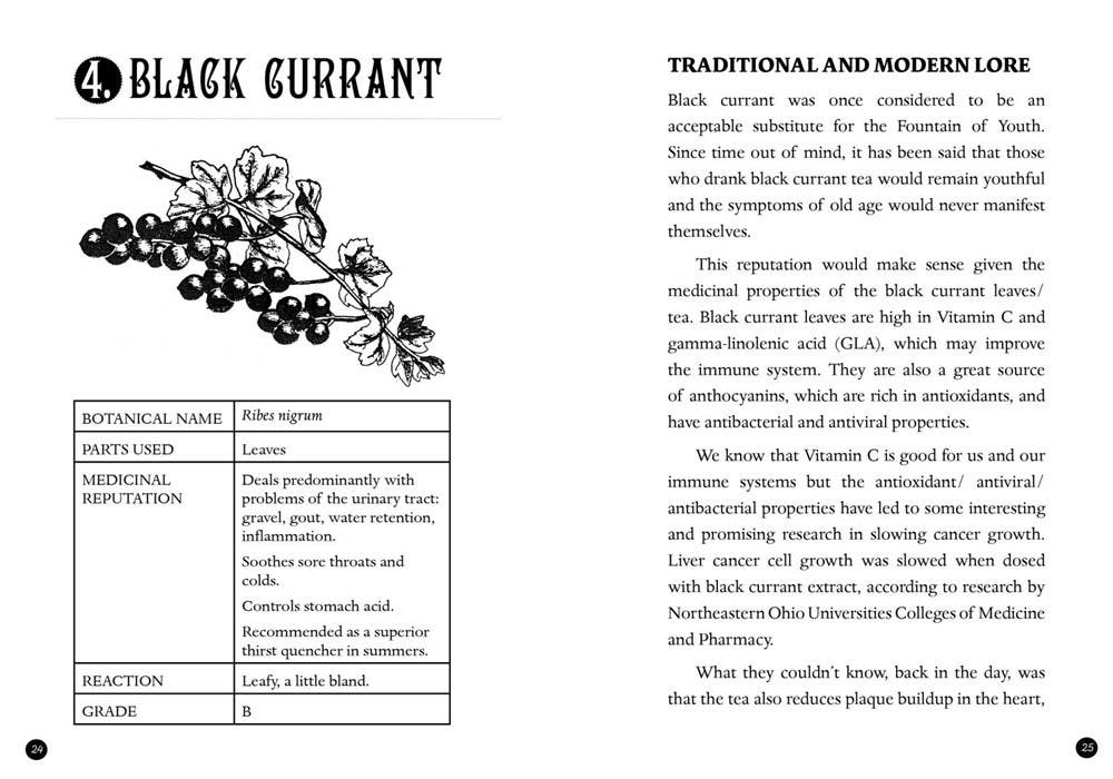 Microcosm Publishing & Distribution - Everyday Herbal Teamaking: Health, Fun, and Self-Care Guide