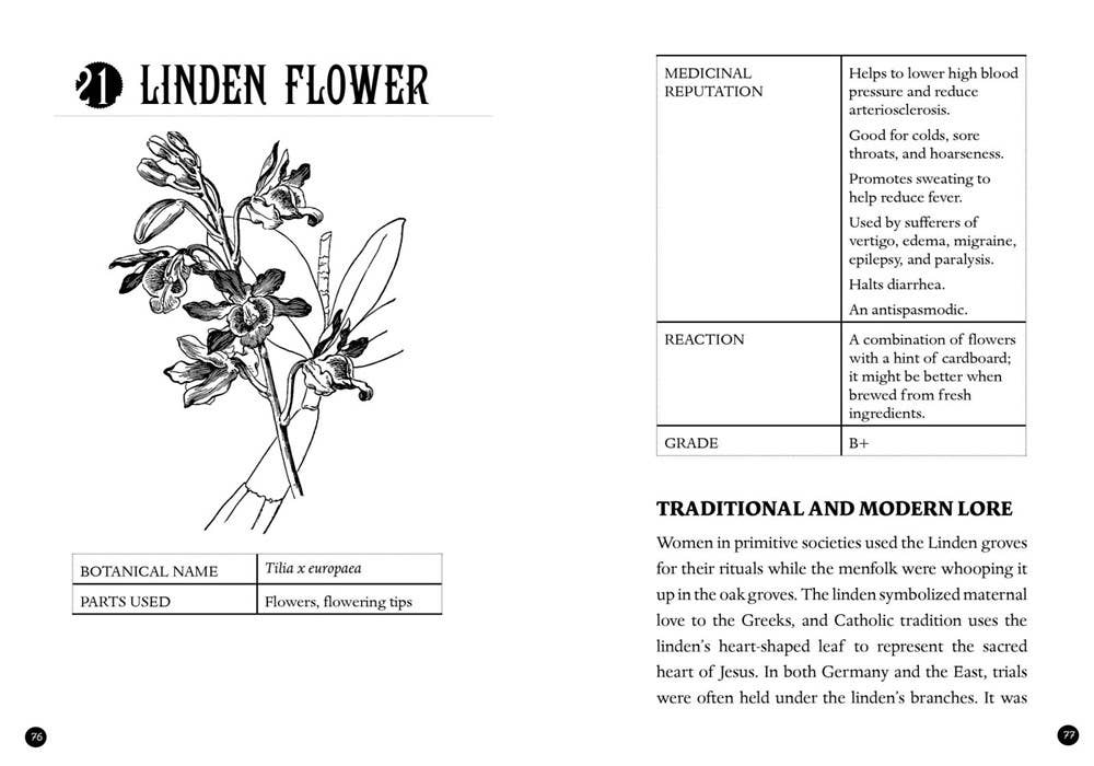 Microcosm Publishing & Distribution - Everyday Herbal Teamaking: Health, Fun, and Self-Care Guide