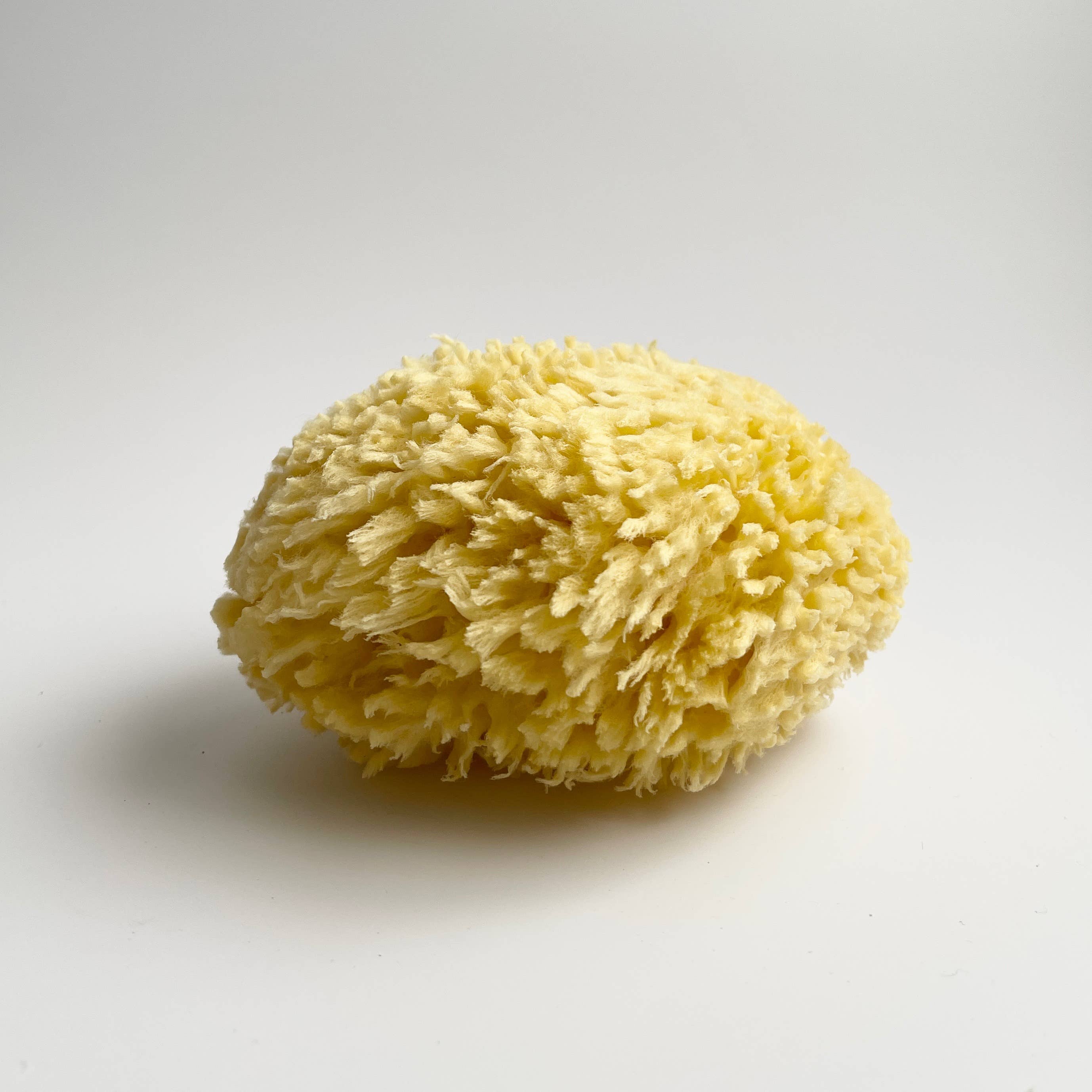 Nectar Republic - Large Natural Bath Sea Sponge 4.5” - 5” ( Wool )