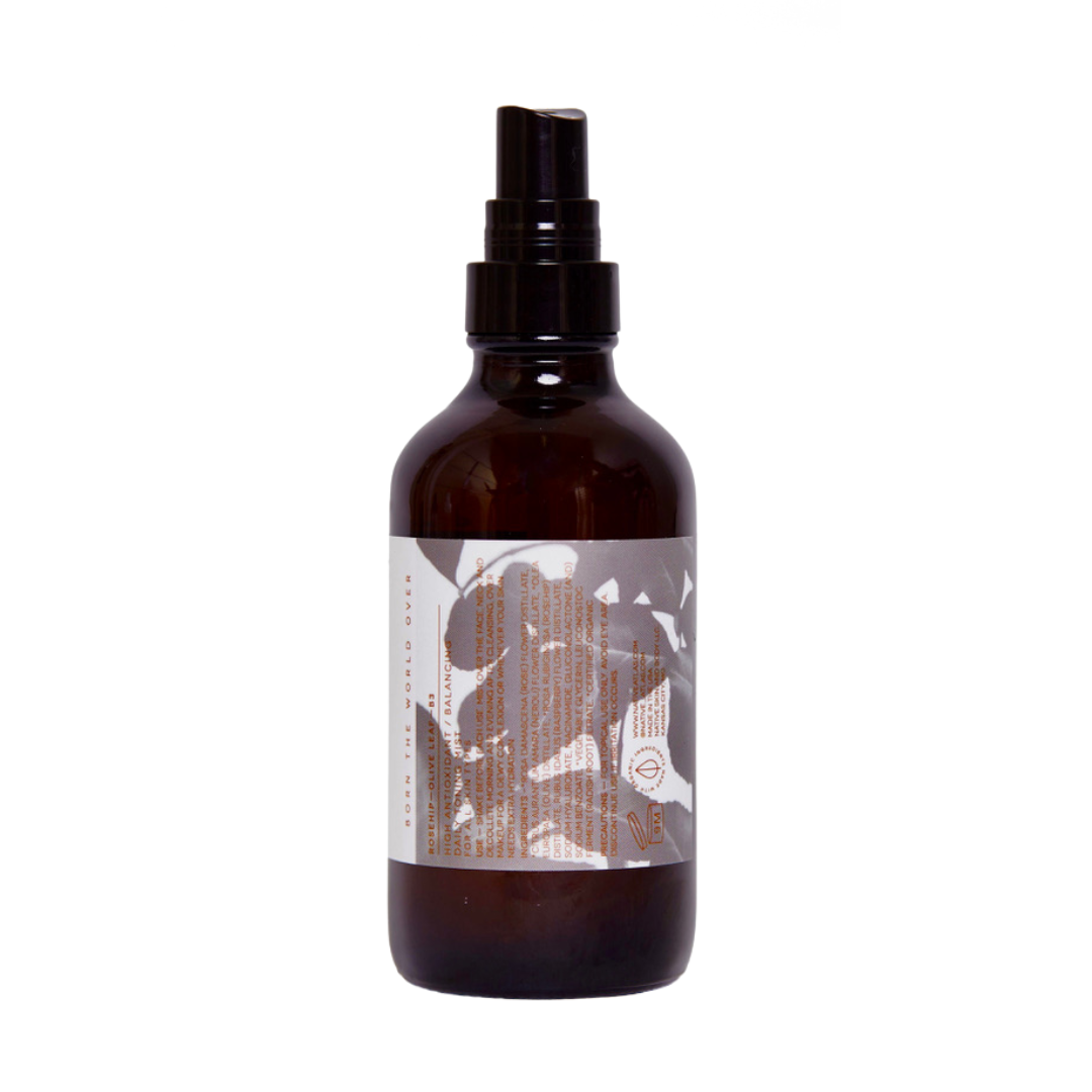 Native Atlas - Antioxidant Toning Mist