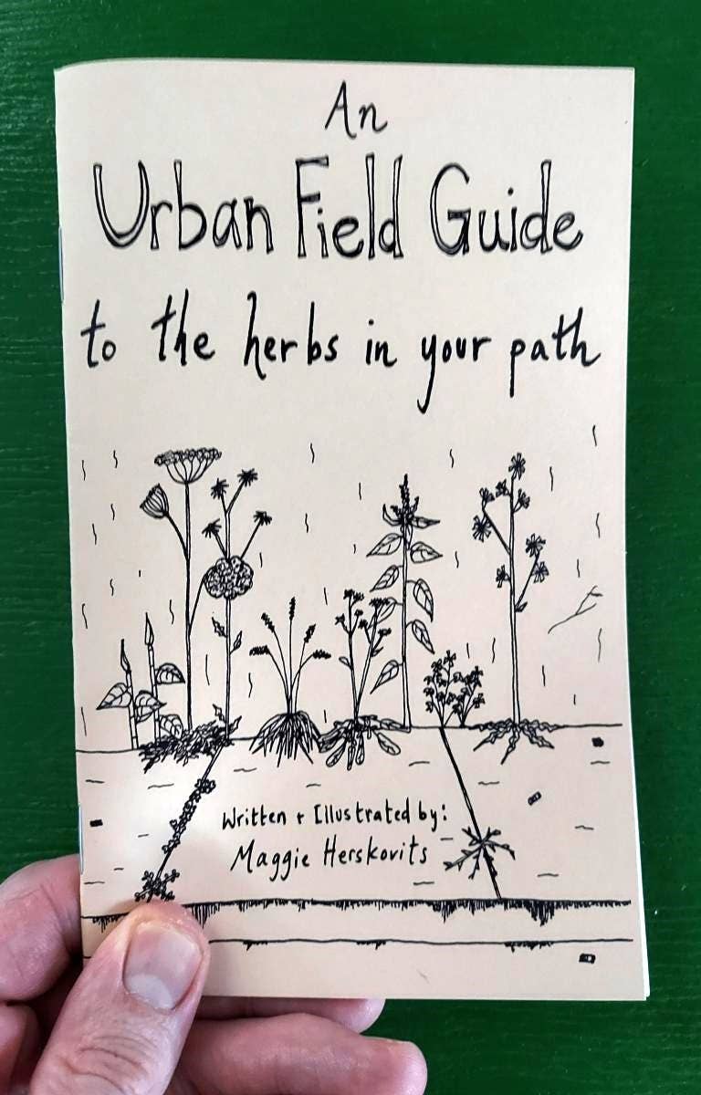 Microcosm Publishing & Distribution - Urban Field Guide to the Herbs in Your Path (Zine)