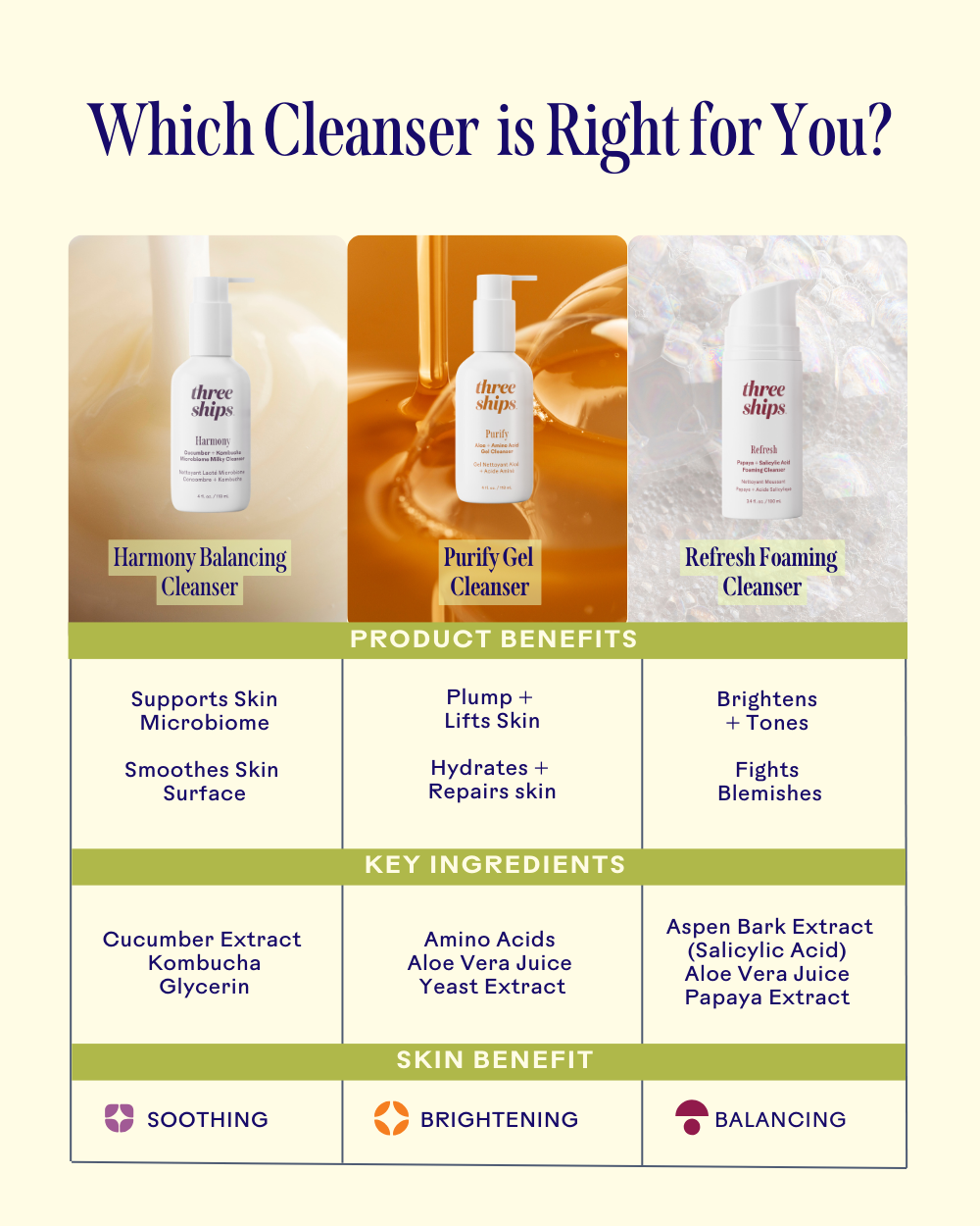 Three Ships - Purify Aloe + Amino Acid Gel Cleanser