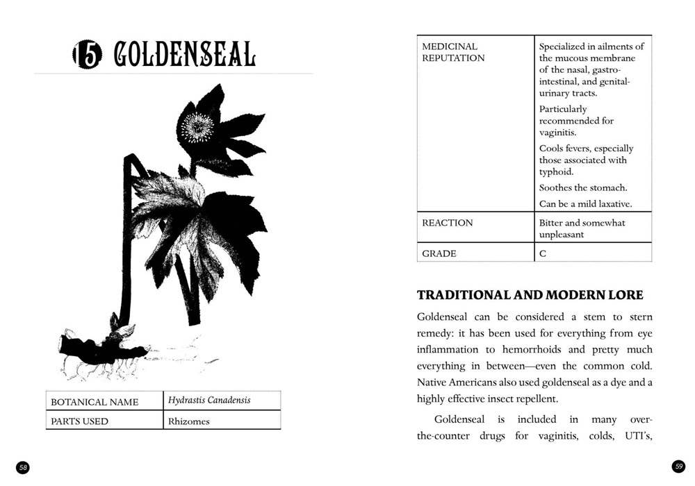 Microcosm Publishing & Distribution - Everyday Herbal Teamaking: Health, Fun, and Self-Care Guide