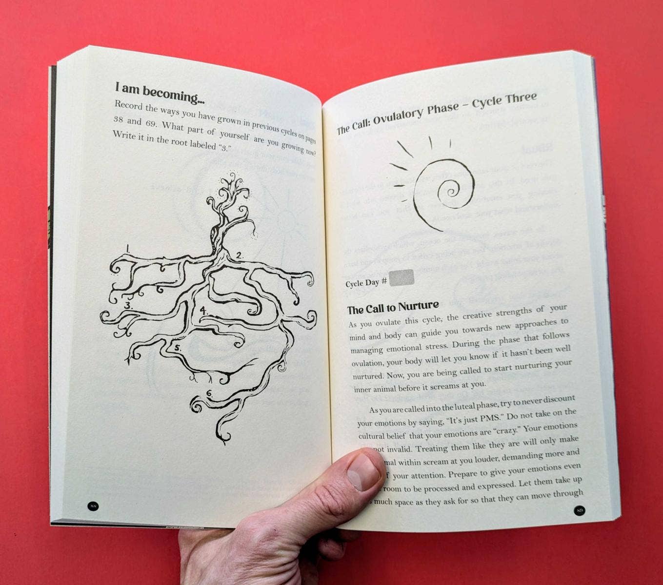 Microcosm Publishing & Distribution - Our Sacred Cycle: Reclaim Your Period from PMS and PMDD