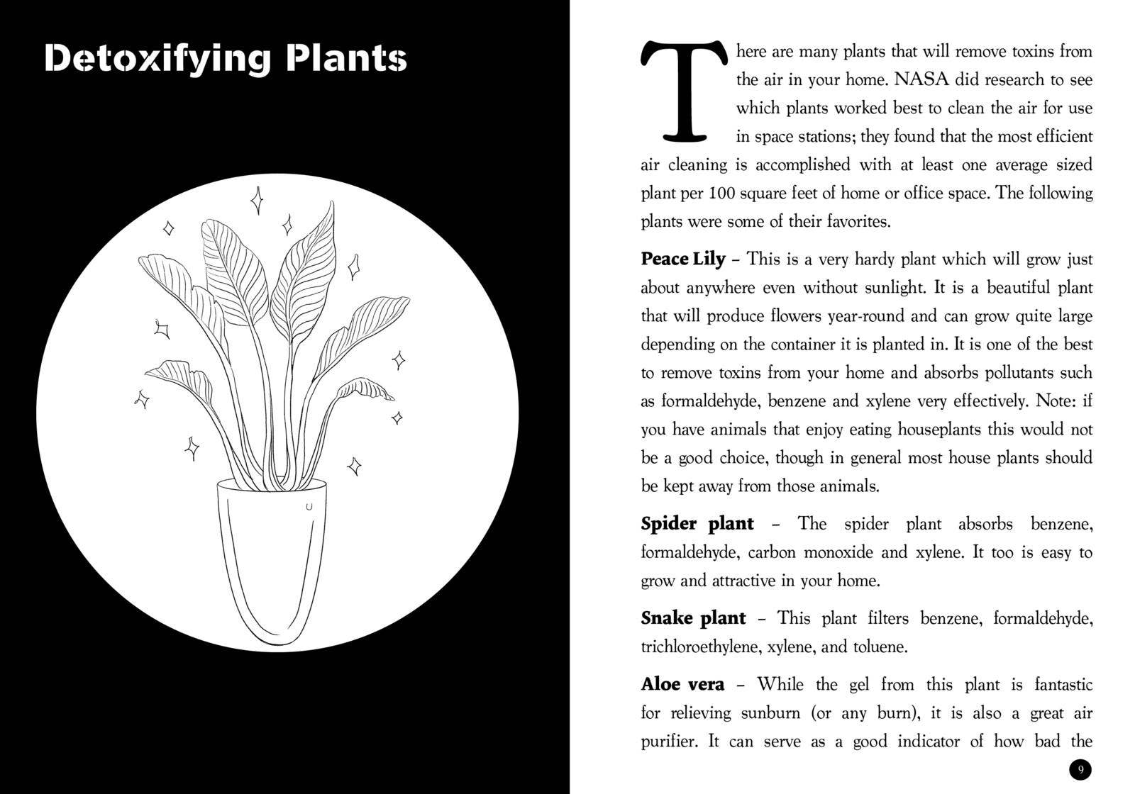 Microcosm Publishing & Distribution - Detox Your Place: Room by Room Remedies for Nontoxic Living