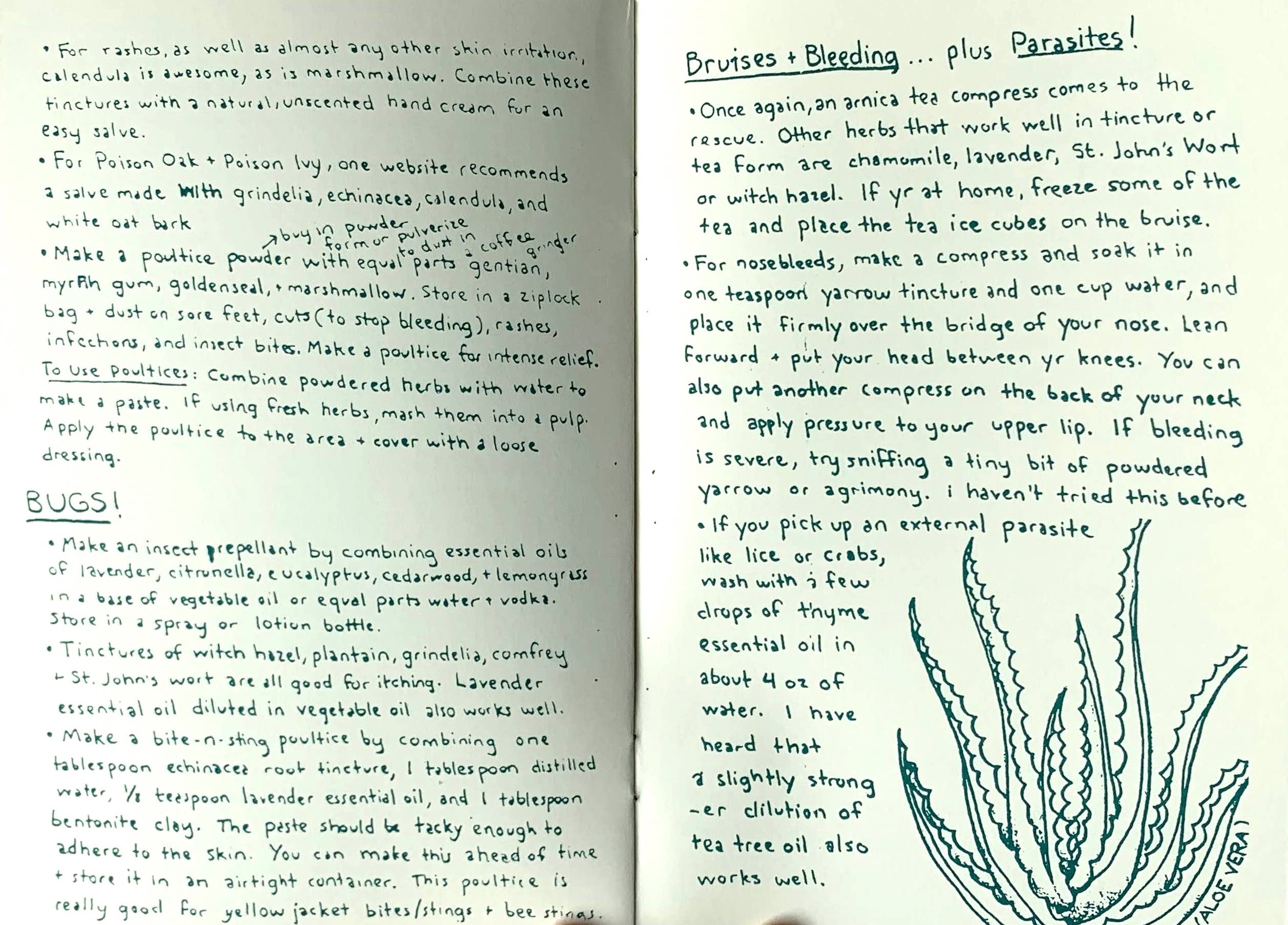 Microcosm Publishing & Distribution - Herbal First Aid: Assembling a Natural First Aid Kit (Zine)