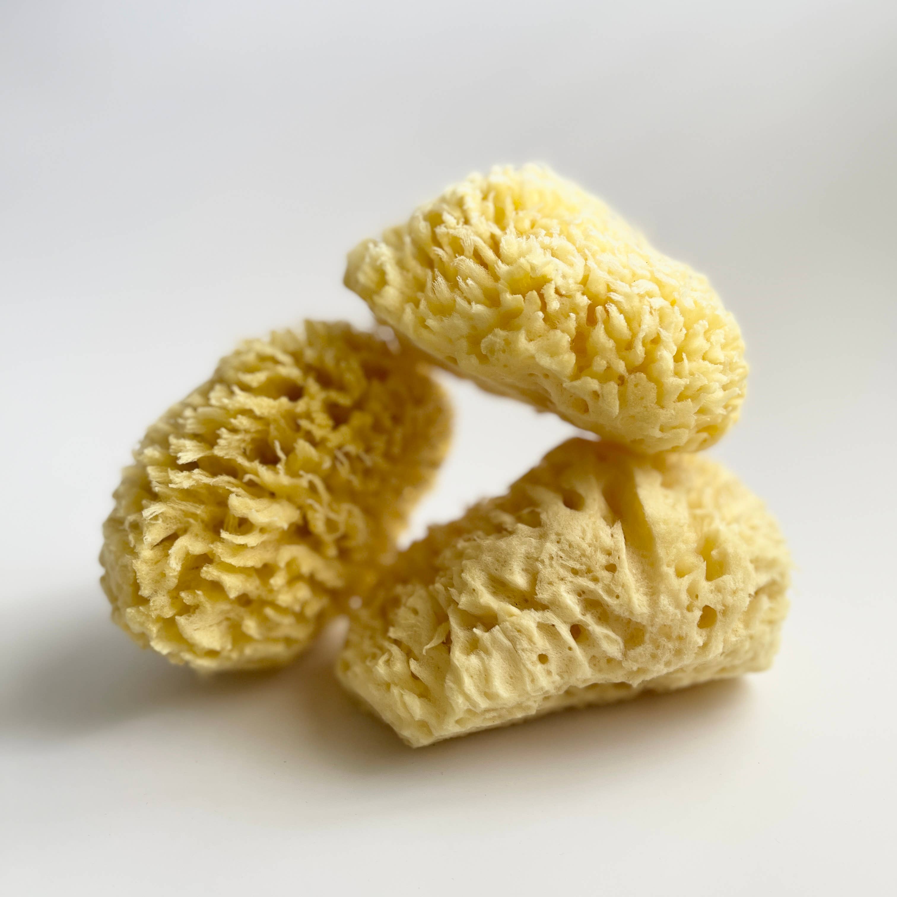 Nectar Republic - Large Natural Bath Sea Sponge 4.5” - 5” ( Wool )