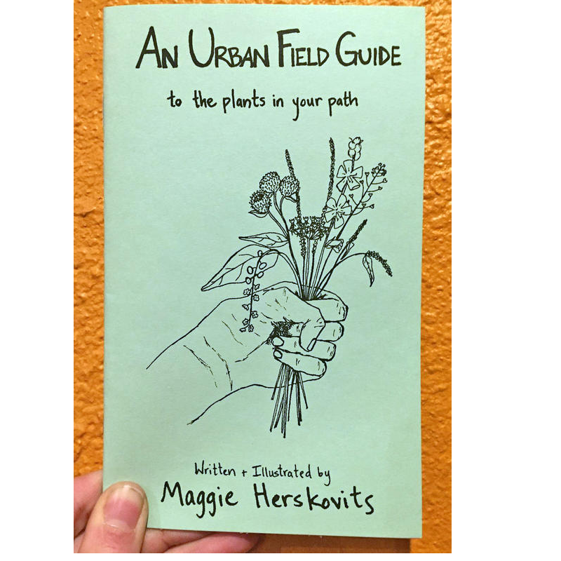 Microcosm Publishing & Distribution - Urban Field Guide to the Plants in Your Path (Zine)